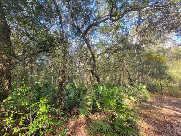 Webster, FL 33597,WATT ST