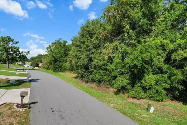 Beverly Hills, FL 34465,911 W COLBERT CT