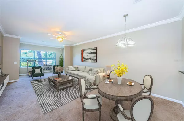 Palm Harbor, FL 34683,2254 CHIANTI PL #66