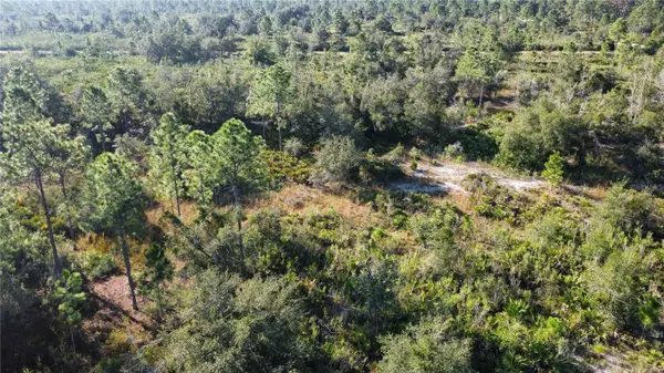 Indian Lake Estates, FL 33855,519 ALLAMANDA DR