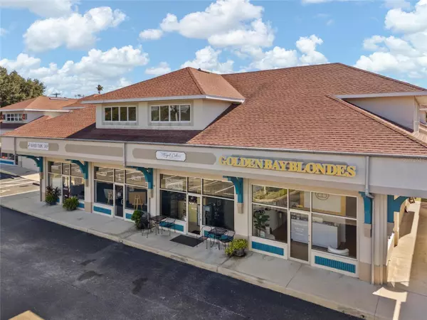 Palm Harbor, FL 34683,1480 ALT 19