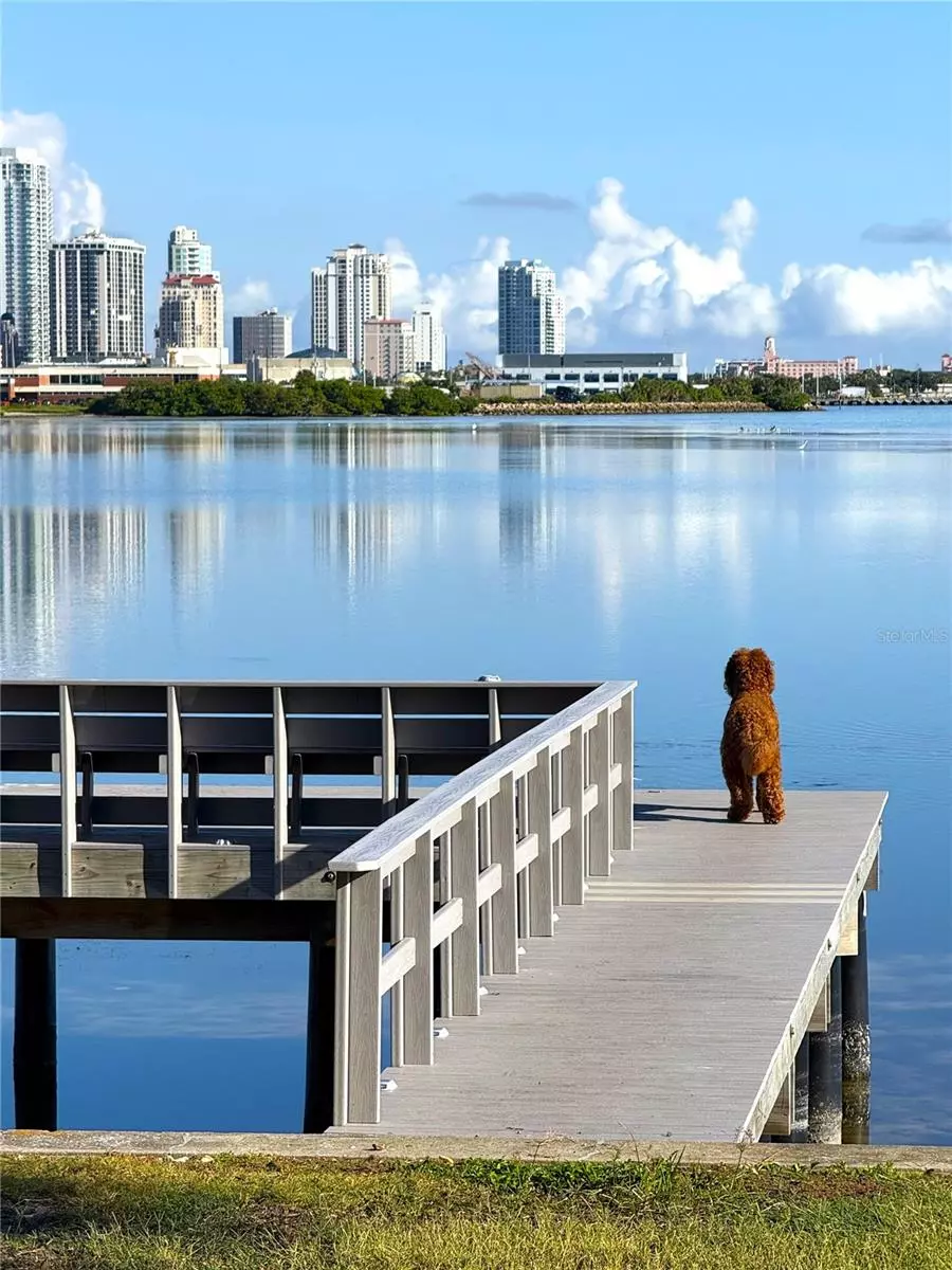 St Petersburg, FL 33705,377 22ND AVE SE