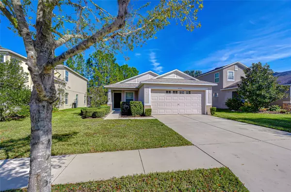 Wesley Chapel, FL 33543,4246 WARWICK HILLS DR