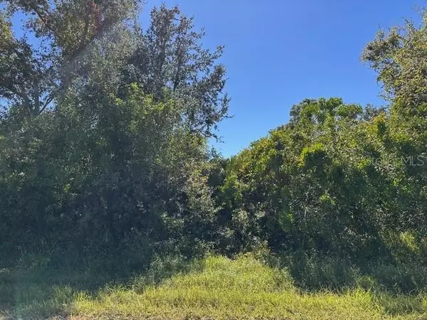 Port Charlotte, FL 33954,22059 BANCROFT AVE