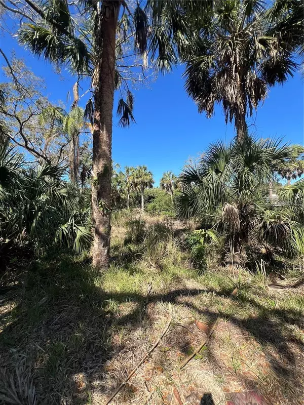 Port Richey, FL 34668,BETTY STREET