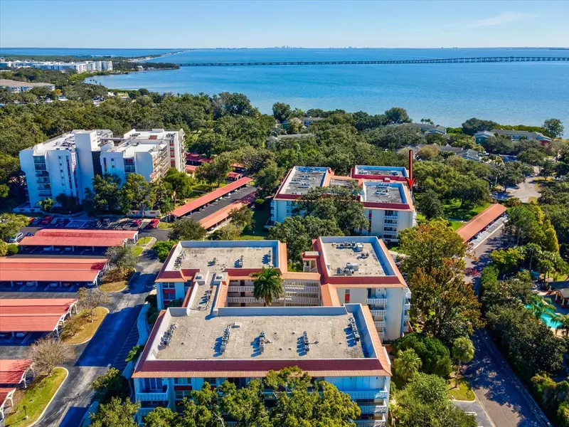 2650 PEARCE DR #403, Clearwater, FL 33764