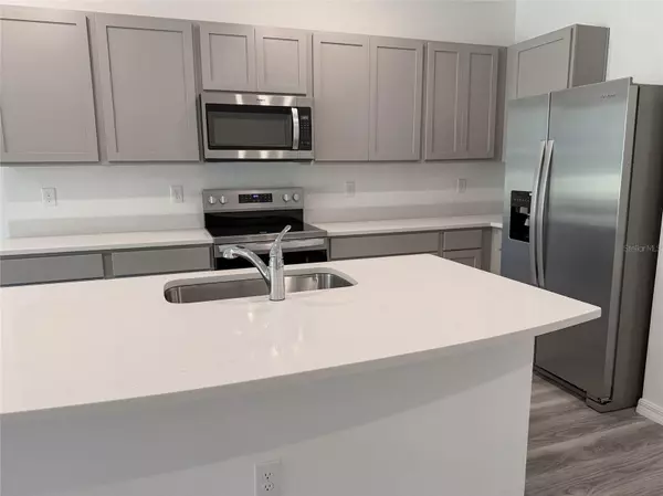 Land O Lakes, FL 34638,11367 VELVET APRICOT DR