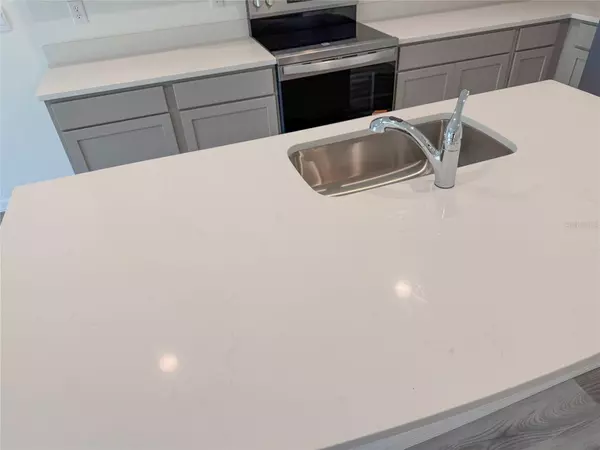 Land O Lakes, FL 34638,11367 VELVET APRICOT DR