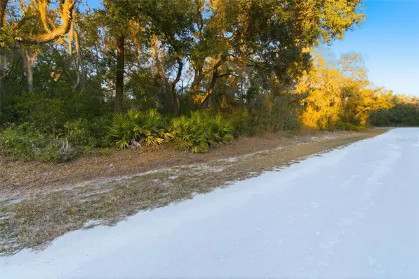 Webster, FL 33597,RIVERSTONE ST