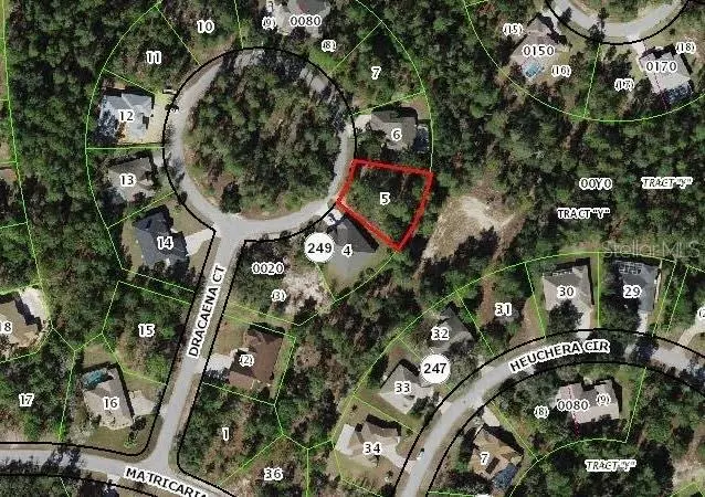 Homosassa, FL 34446,10 DRACAENA CT