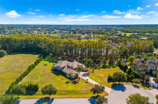 Odessa, FL 33556,17336 BALLMONT PARK DR