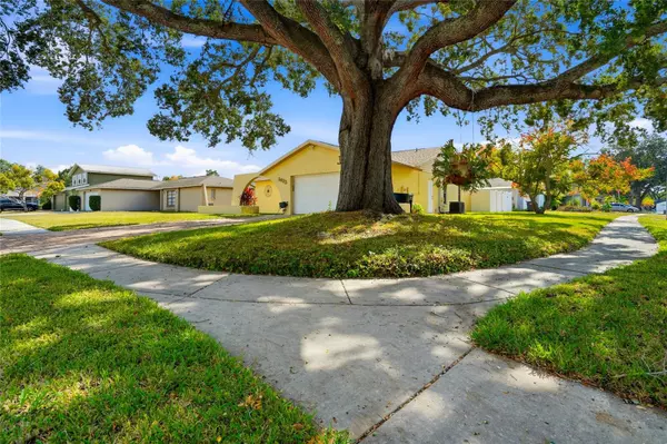 Tampa, FL 33625,5425 PENTAIL CIR