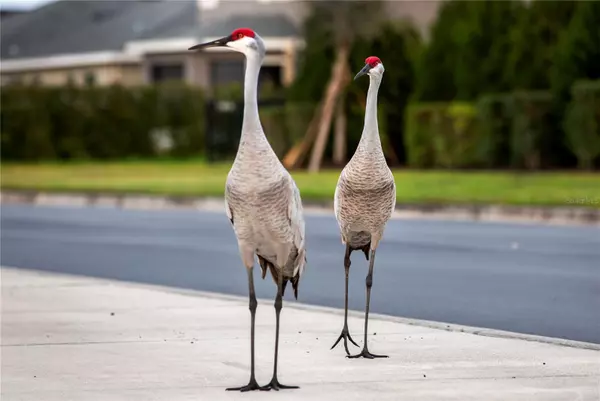 Parrish, FL 34219,16507 66TH LN E