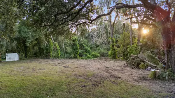 Plant City, FL 33567,4905 NESMITH RD