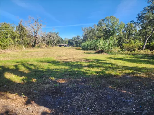 Dover, FL 33527,2102 SYDNEY DOVER RD