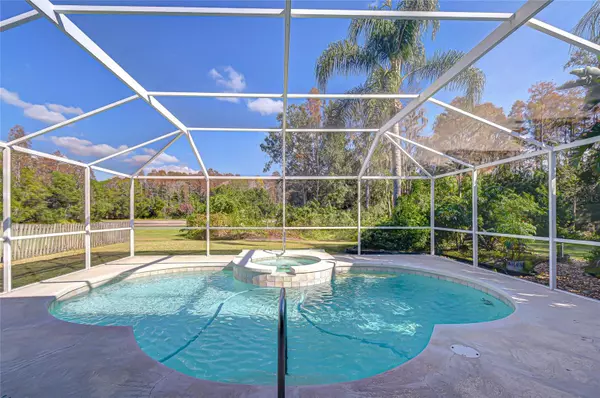 Lutz, FL 33558,19414 MORDEN BLUSH DR