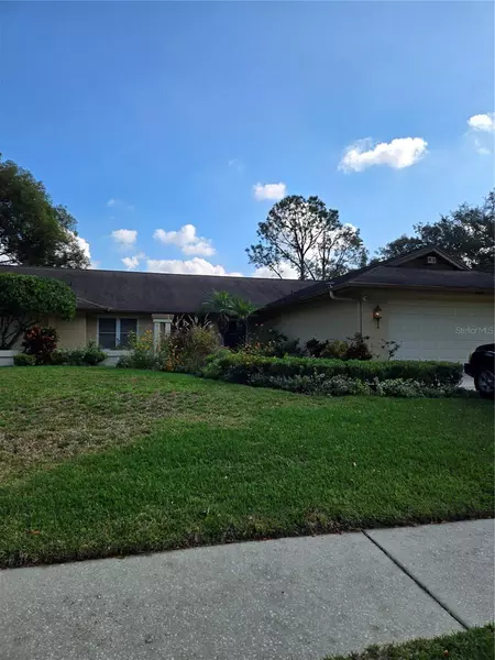 305 RUNNING HORSE RD, Seffner, FL 33584