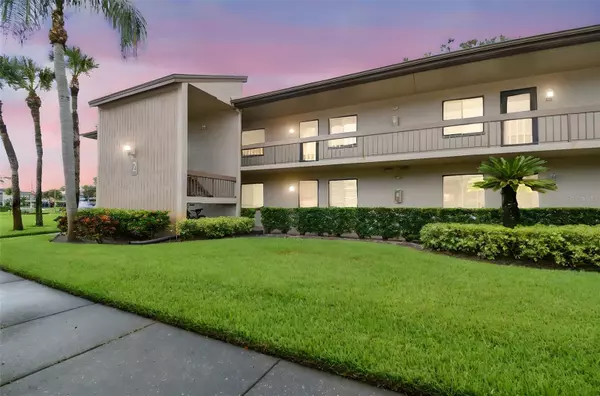 204 MARY DR, Oldsmar, FL 34677