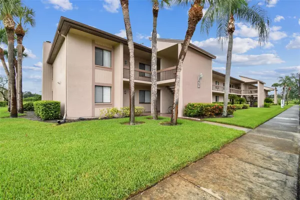 Oldsmar, FL 34677,204 MARY DR