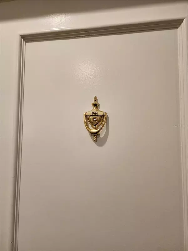 Tampa, FL 33606,345 BAYSHORE BLVD #P6