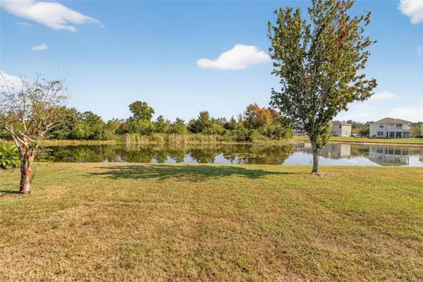 Tampa, FL 33647,20703 GREAT LAUREL AVE