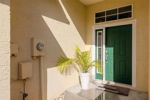 Tampa, FL 33618,11238 CEDAR HOLLOW LN