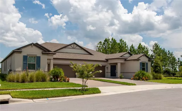 Land O Lakes, FL 34637,10125 CAMPANULA CT