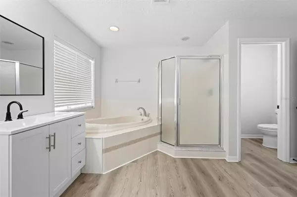 Land O Lakes, FL 34639,25131 GEDDY DR