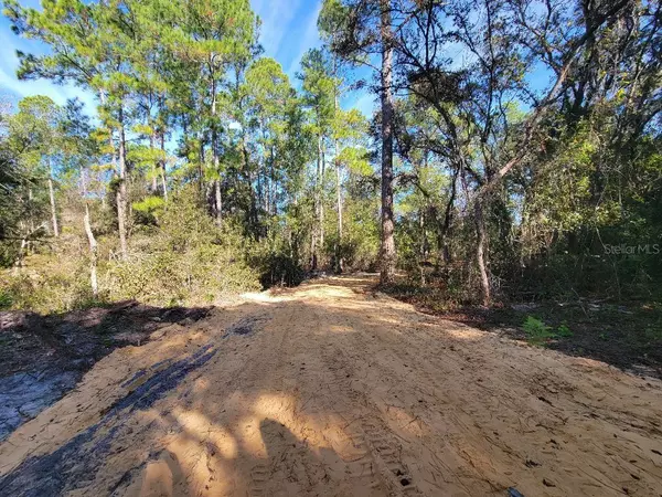 Webster, FL 33597,34389 CREEKSTONE ST