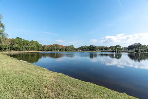 New Port Richey, FL 34655,1226 HOVERSHAM DR