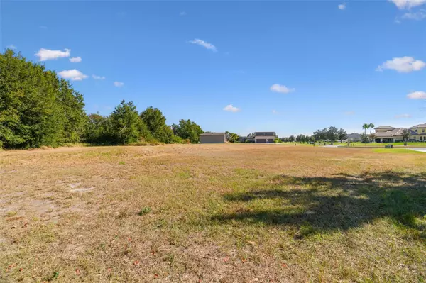 Lithia, FL 33547,420 HAWK TALON DR