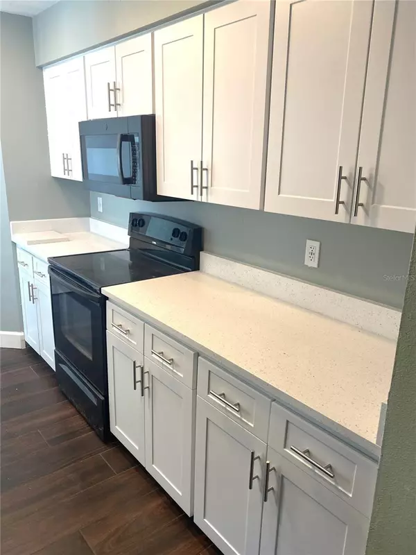 Clearwater, FL 33765,525 FEATHER TREE DR