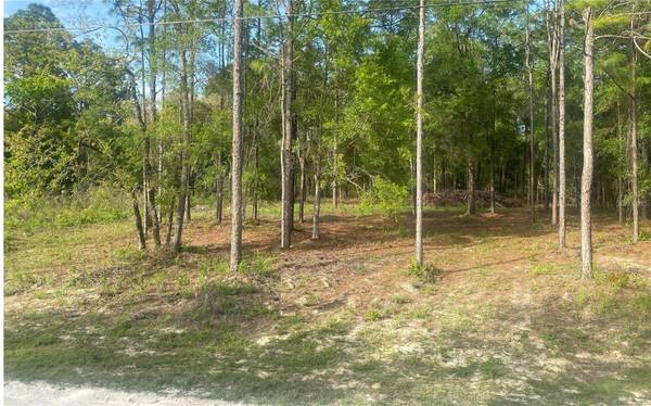 15570 CLIFF SWALLOW RD, Weeki Wachee, FL 34614