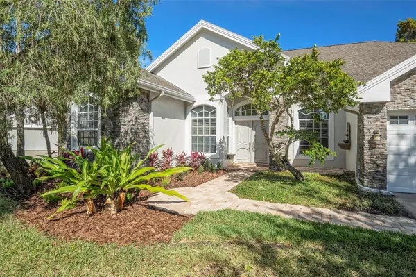 Tampa, FL 33626,10532 GREENCREST DR