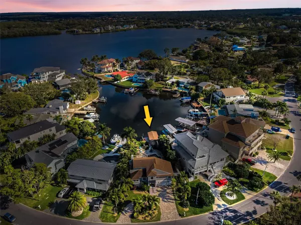 Palm Harbor, FL 34683,110 CARLYLE CIR