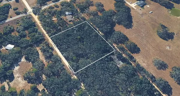 Dunnellon, FL 34433,8856 N HIMALAYAS PT