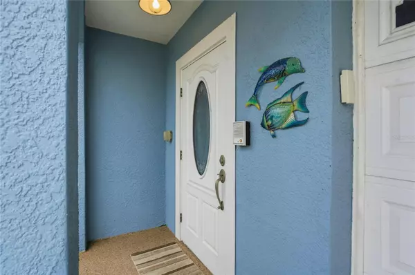 Tarpon Springs, FL 34689,1197 FLYING FISH LN