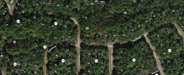 Dunnellon, FL 34434,373 E AVONDALE DR