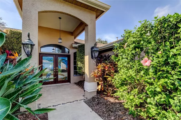 Odessa, FL 33556,17015 WINNERS CIR