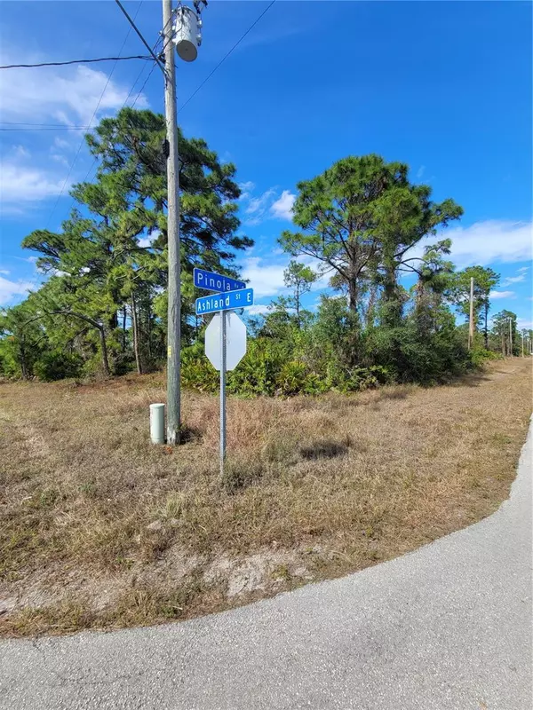 Lehigh Acres, FL 33974,236 PINOLA AVE S