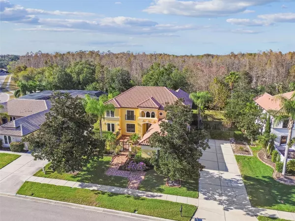 3811 IVYDALE CT, Land O Lakes, FL 34638