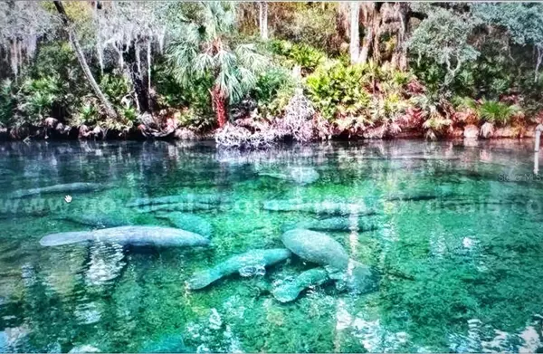 1 WERLEY TRL, Deland, FL 32720