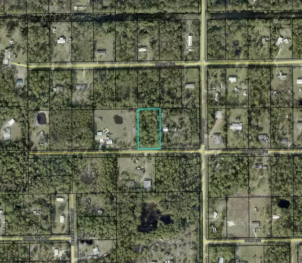 Bunnell, FL 32110,6044 NUTWOOD AVE