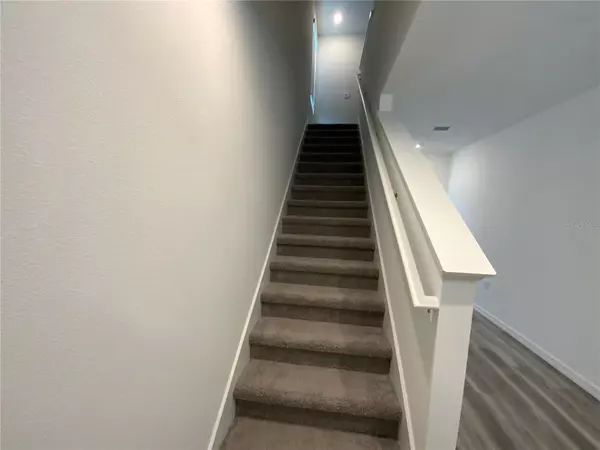 Wesley Chapel, FL 33543,32386 EVENING GROVE CT