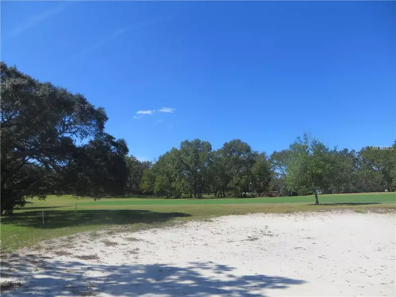 25 GRAYTWIG CT W, Homosassa, FL 34446