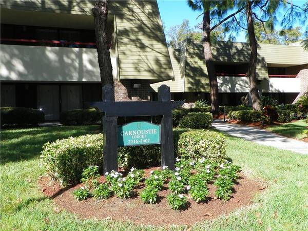 36750 US HIGHWAY 19 N #3-220, Palm Harbor, FL 34684