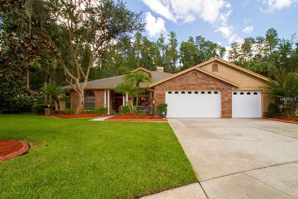 Oldsmar, FL 34677,40 GREENHAVEN CT