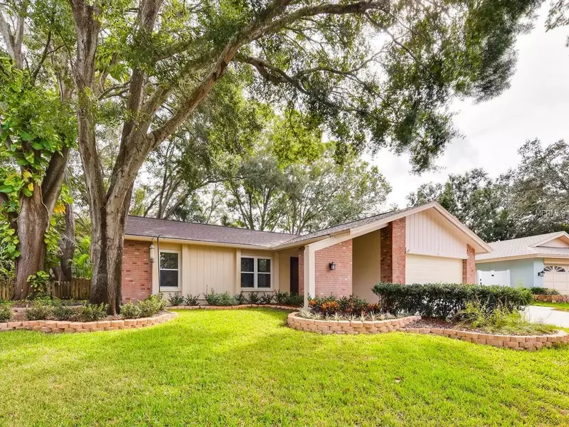 36 CRANE DR, Safety Harbor, FL 34695