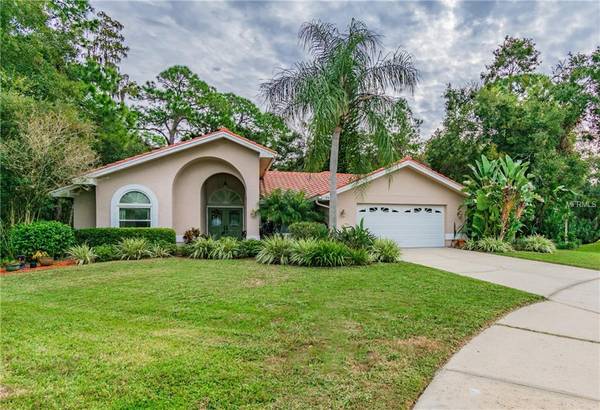 1100 LAKE RIDGE CT, Safety Harbor, FL 34695