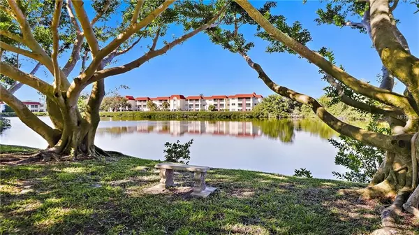 St Petersburg, FL 33703,4550 OVERLOOK DR NE #262